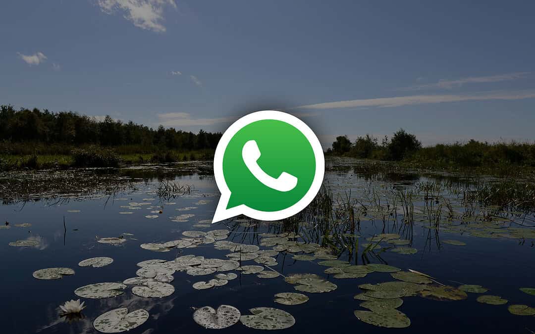 Nieuw: Whatsapp-groep kalenberg.nu